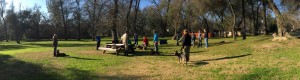 Group Dog Obedience Training Class